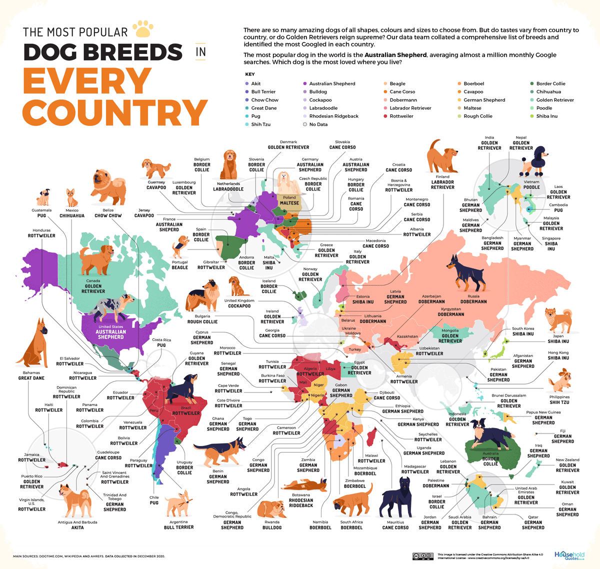 Самые популярные породы собак в разных странах