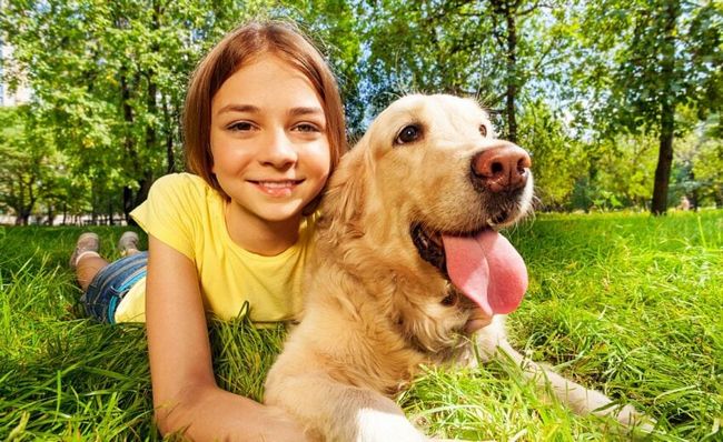 Лучшие и худшие породы собак для семьи с маленькими детьми
